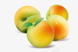水果杏子浅色四只青里透红的未成熟的李子高清图片