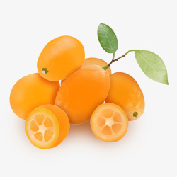美味的水果柠檬橙子素材
