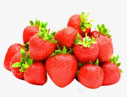 一堆草莓一堆红草莓采摘高清图片