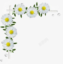 白色菊花花边边框素材