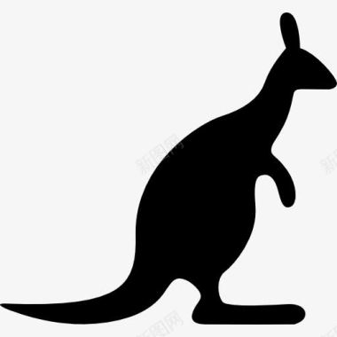 澳大利亚袋鼠寻找正确的图标图标