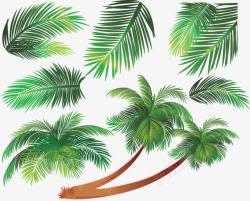 一棵椰子树素材