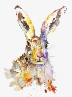 绘画作品的兔子素材