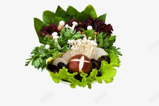 菌类蘑菇蔬菜拼盘摄影png免抠素材_88icon https://88icon.com 拼盘 木耳 爱心蔬菜 素菜 素食 菌类拼盘 菌菇 菜类图片 蔬菜 野生菌 金针菇 香菇
