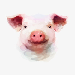 水彩彩绘猪矢量图素材