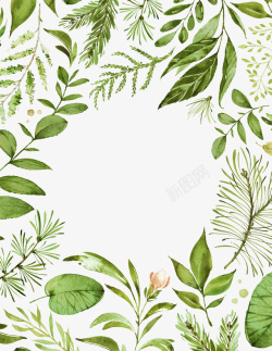 叶子组合时尚简约的植物边框高清图片