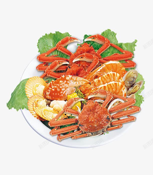 美食虾螃蟹png免抠素材_88icon https://88icon.com 健康食品 大虾 美食 虾 虾免费下载 螃蟹 贝壳