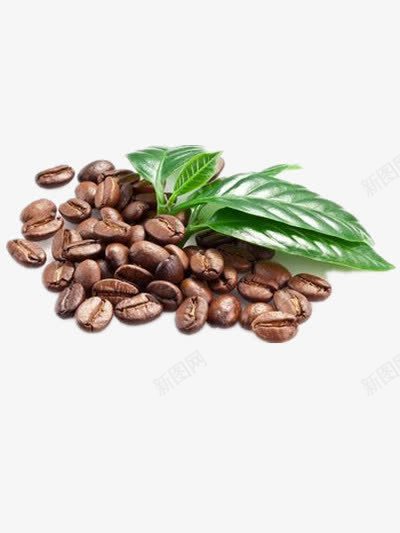 咖啡豆png免抠素材_88icon https://88icon.com 优质咖啡 咖啡原材料 巴西咖啡 巴西豆 绿叶 豆子