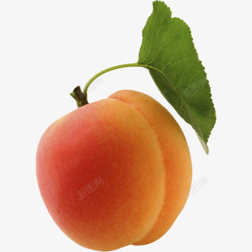 可口水蜜桃产品实物png免抠素材_88icon https://88icon.com 农产品 可口水蜜桃 商场 成熟桃子 橙色水蜜桃 水果店 超市