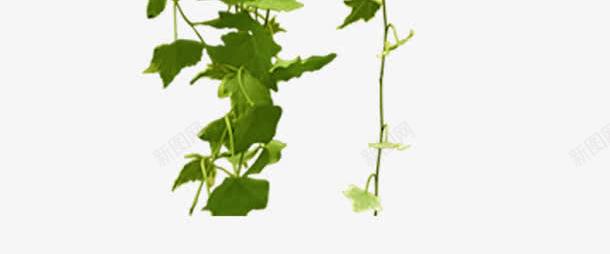 精美壁灯png免抠素材_88icon https://88icon.com 发光 壁灯 复古壁灯 植物 温暖 灯光 精美 精致 绿色 装饰效果 装饰海报素材