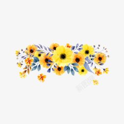 非洲菊水彩绘春季黄色花卉高清图片
