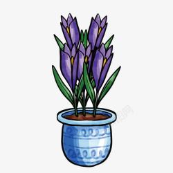 盆栽紫花素材