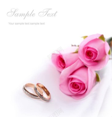 情侣戒指与粉色玫瑰花背景