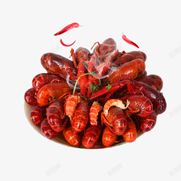 香辣小龙虾png免抠素材_88icon https://88icon.com 海鲜食品 澳洲龙虾 美味虾子 虾子设计 辣椒设计 麻辣虾 龙虾设计