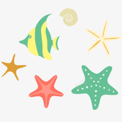 彩色海星和海鱼插画矢量图素材