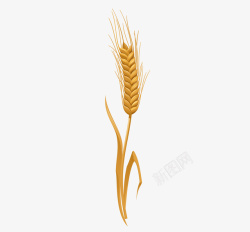 麦穗麦秆一杆精美仿真金色麦穗矢量图高清图片