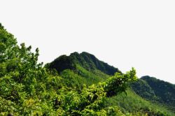 重庆永川茶山竹海风景矢量图素材