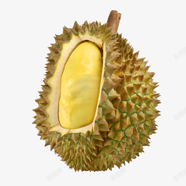 泰国进口榴莲微距特写png免抠素材_88icon https://88icon.com 产品实物 健康 尖锐 尖锐物体 成熟 新鲜水果 榴莲 榴莲芒果 泰国进口榴莲微距特写