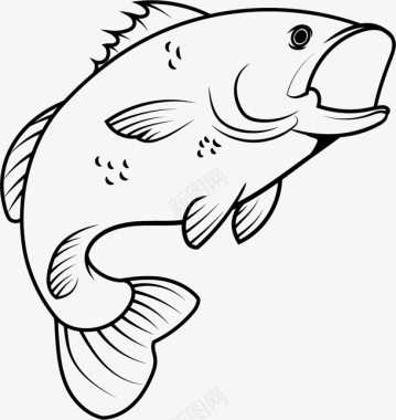 面的线条的鱼矢量图图标图标