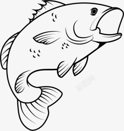 水面鱼跳跃溅起线条的鱼矢量图图标高清图片