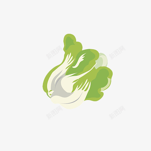 卡通手绘健康绿色大白菜png免抠素材_88icon https://88icon.com 健康 卡通 卡通大白菜 大白菜 白菜 绿色 美味 蔬菜 青菜