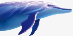 夏日鲸鱼蓝色海洋卡通效果素材