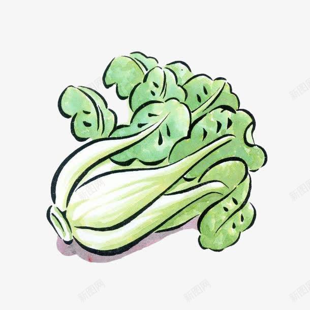 卡通手绘大白菜png免抠素材_88icon https://88icon.com 健康 卡通 卡通大白菜 大白菜 手绘 绿色 美味 蔬菜 青菜 食品
