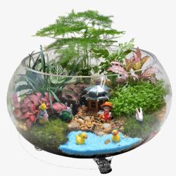 盆栽办公室桌面苔藓微景观组合植物生态瓶高清图片