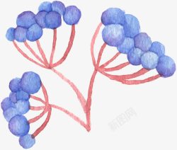 手绘水彩蓝莓果素材
