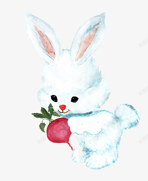 吃萝卜的小兔子图png免抠素材_88icon https://88icon.com 动物 卡通手绘 可爱 宠物 小兔子 水彩 白色 红色萝卜