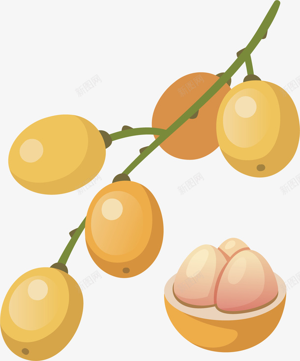 简约枇杷果矢量图ai免抠素材_88icon https://88icon.com 卡通手绘 商务 枇杷 枇杷树 果实 植物 矢量图 装饰