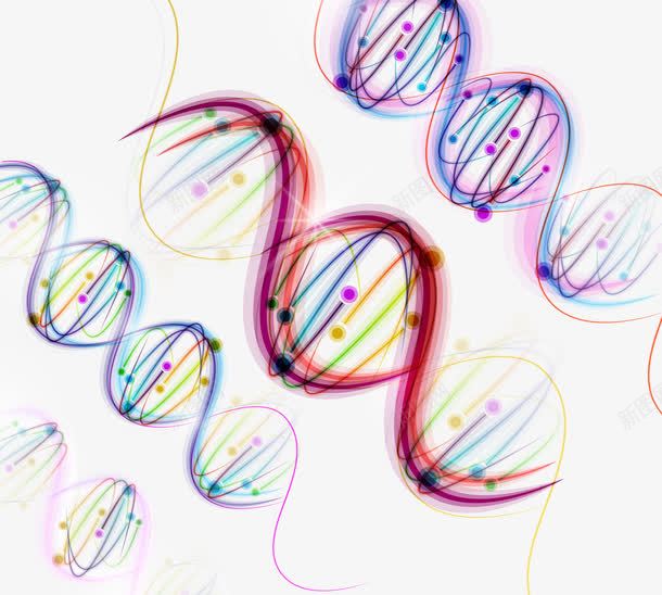 绚丽多彩DNA遗传基因png免抠素材_88icon https://88icon.com DNA 化学分子 化学结构 彩色 遗传基因