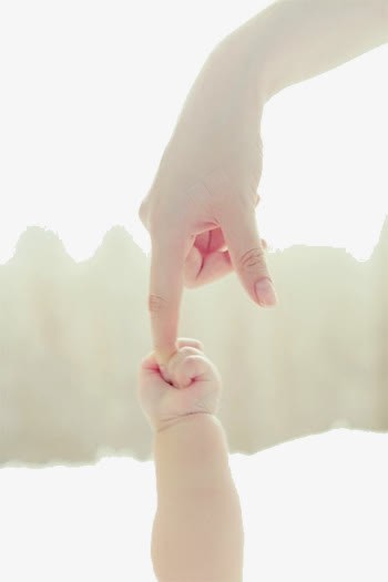 大手拉小手png免抠素材_88icon https://88icon.com 亲子照片 唯美 大人的手 大手拉小手 婴儿的手