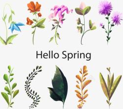 春草养生会所你好春天的花草矢量图高清图片