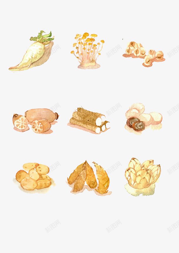 卡通手绘蔬菜食物png免抠素材_88icon https://88icon.com 卡通 吃货 大餐 手绘 插画 美食 食物 餐饮