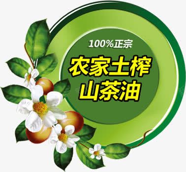 茶油png免抠素材_88icon https://88icon.com 农家土榨山茶油 叶子 山茶油 油 白色 绿色 美食 花 花朵 茶叶 茶果 茶树 茶油 食物