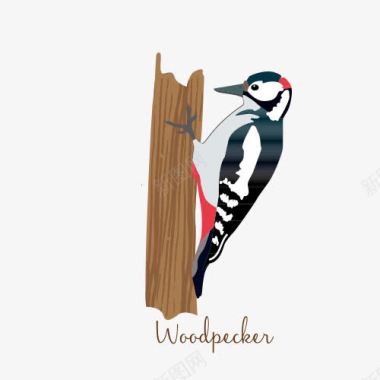 文字排版英文可爱啄木鸟简单图标图标