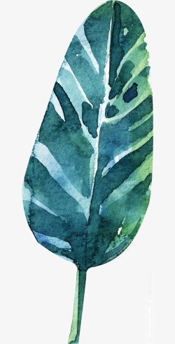 热带植物花卉芭蕉叶水彩画高清图片
