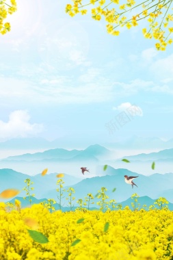 小清新春天你好油菜花风景插画背景