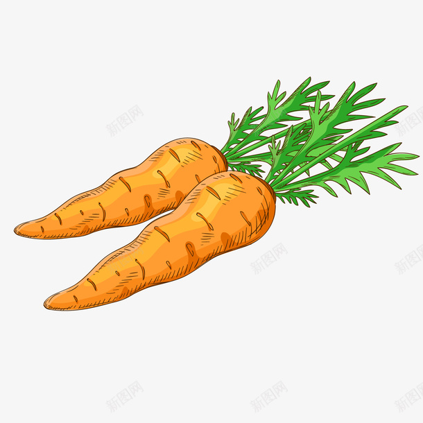 橙色创意胡萝卜食物元素矢量图ai免抠素材_88icon https://88icon.com 创意 卡通插画 橙色 美食 胡萝卜 蔬菜 食物 矢量图