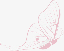 飞翔的蝴蝶唯美粉色蝴蝶高清图片