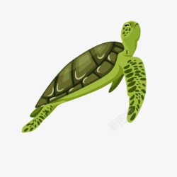 卡通装饰海洋生物海报海龟素材