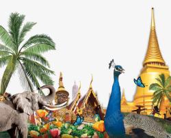 泰国旅游椰子树水果孔雀大象素材