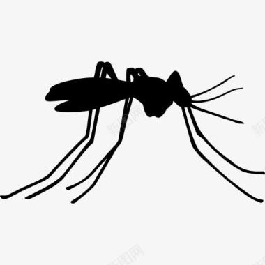 各种形状和符号蚊虫的侧视图图标图标