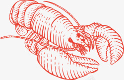 红色的手绘线条龙虾素材