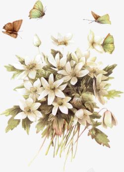 白色花卉蝴蝶手绘海报背景素材