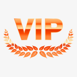 卡通高档VIP标签装饰广告素材