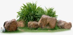 绿色植物石头景观装饰素材