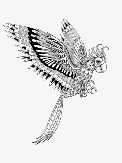 飞翔的鹦鹉鹦鹉黑白图腾线稿矢量图高清图片