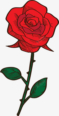 红色复古玫瑰花束素材